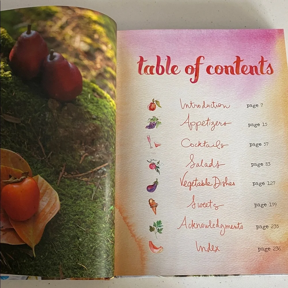 The Forest Feast Cookbook by Erin Gleeson - Colorful Cover